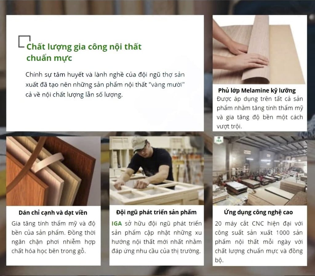 hồ sơ năng lực iga