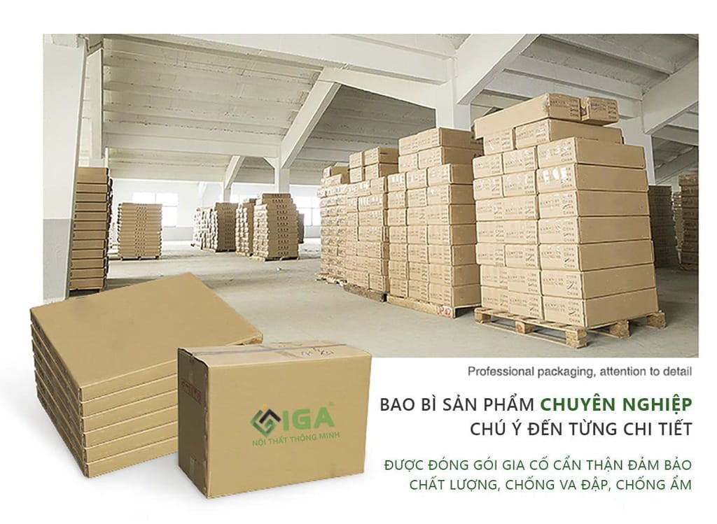 hồ sơ năng lực iga