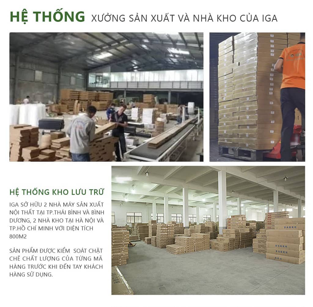 hồ sơ năng lực iga