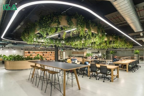 Văn phòng thân thiện với môi trường