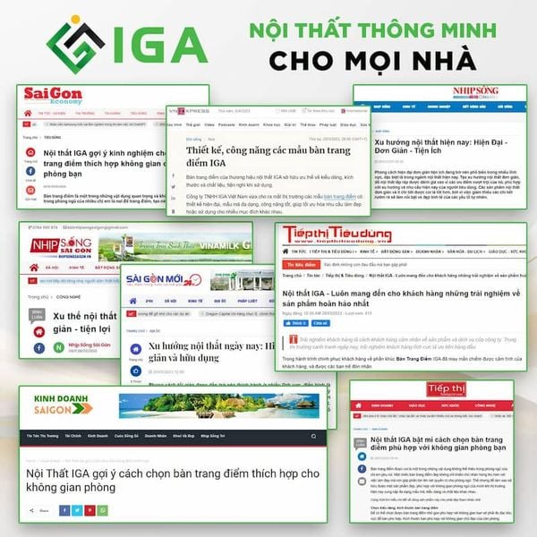 hồ sơ năng lực iga