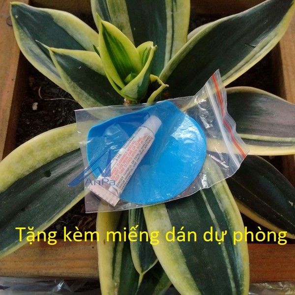 Bể bơi phao 3 tầng, bể bơi phao lớn, bể bơi phao intex, mua hồ bơi cho bé, bể bơi thành cao, phao bơi trẻ em, bể bơi phao gia đình, bể bơi phao có cầu trượt, bể bơi phao hình chữ nhật,