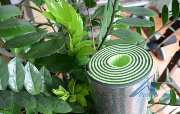 Thảm tập yoga hai lớp Đài Loan, thảm tập yoga đài loan, thảm tập yoga eco friendly, thảm tập yoga tpe đài loan, thảm tpe đài loan đúc 1 lớp dày 8mm, thảm tập yoga hà nội, thảm tập yoga tpe tphcm, thảm tập yoga tpe 2 lớp 6mm, thảm tập yoga tpe eco~friendly đài loan 8mm,