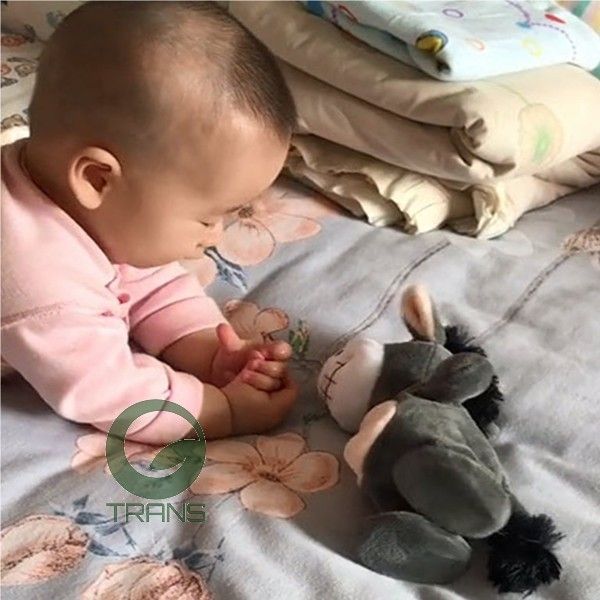 Lừa Pookey nhại bé tập nói, Lừa Nhại Tiếng Người tập phản xạ nói, Lừa nhại tiếng pookey , lừa biết nói biết hát biết nhại tiếng người, Đồ chơi con lừa nhại tiếng người, Lừa nhại tiếng người, Đồ chơi lừa Donkey biết nói biết hát, Lừa Donkey nhại tiếng thông minh, Đồ chơi lừa Donkey biết nói biết hát,