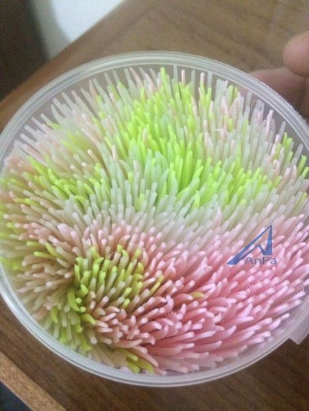 Tăm nhựa, tăm nhựa nhật bản, tăm nhựa mỹ, tăm nhựa clean & clear, tăm nhựa nha khoa, tăm nhựa easy clean, tăm xỉa răng của mỹ, tăm xỉa răng bằng nhựa, tăm xỉa răng của nhật,