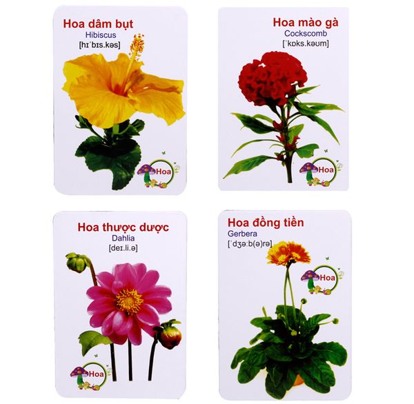 Bộ thẻ học thông minh 16 chủ đề