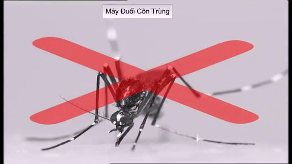 Thiết bị đuổi côn trùng PEST REJECT, thiết bị đuổi chuột có hiệu quả không, máy đuổi côn trùng nào tốt, pest reject best buy, máy đuổi côn trùng hiệu pesreject, máy đuổi côn trùng của nhật, máy đuổi muỗi sóng siêu âm có tốt không, máy đuổi chuột nhật bản, máy đuổi chuột bằng sóng siêu âm,