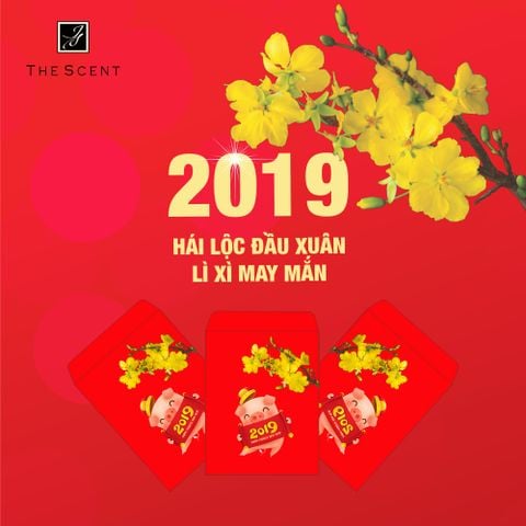 HÁI LỘC ĐẦU XUÂN - LÌ XÌ MAY MẮN