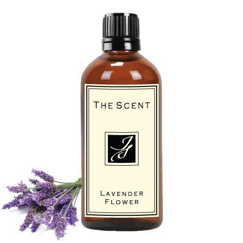 Lavender Flower - Tinh dầu Hoa Oải Hương The Scent