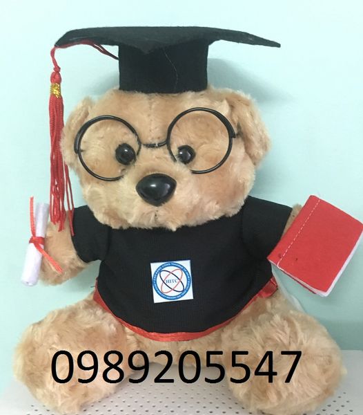 Gấu bông tốt nghiệp Cao đẳng Công thương