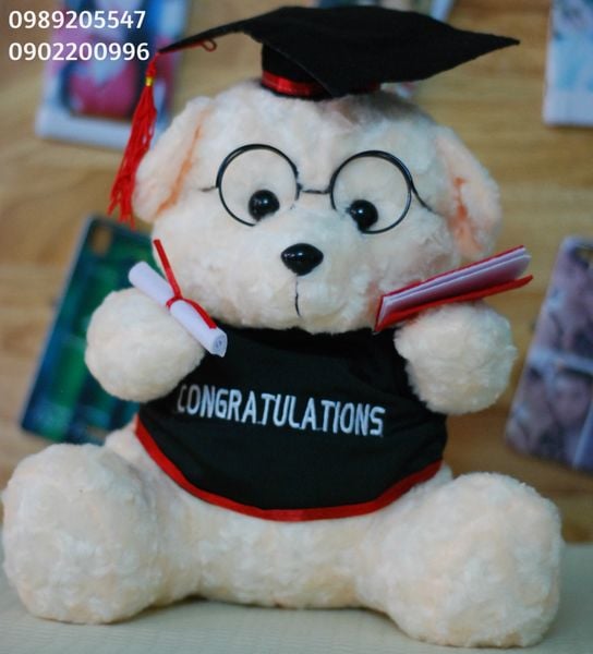 Gấu bông tốt nghiệp Đại học Ngân hàng