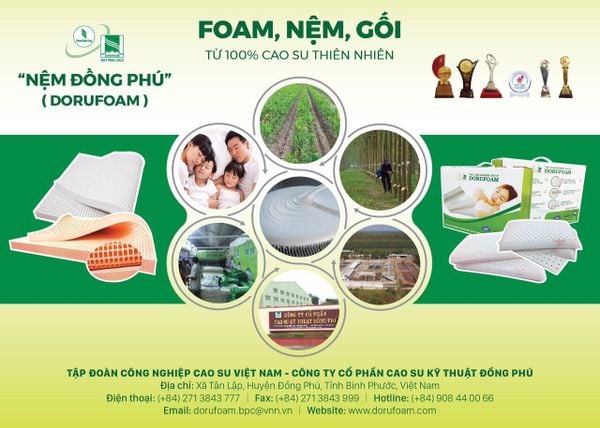 Những lợi ích của nệm cao su thiên nhiên mang lại