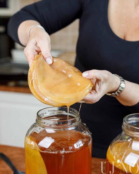 Trà Kombucha, báu vật hơn 2000 năm tuổi (Phần 01)