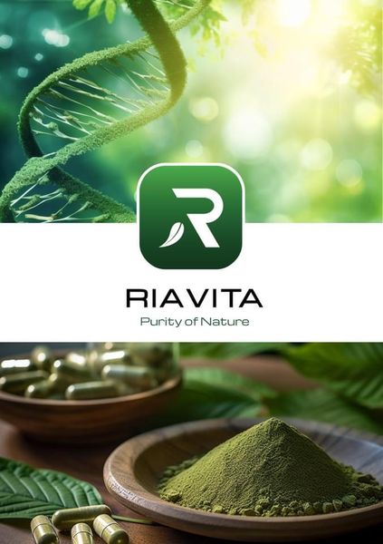 Nhịp Cầu nối đôi bờ Đông và Tây Y