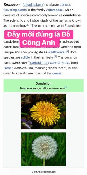 ⛔️⛔️⛔️NHẦM LẪN NGHIÊM TRỌNG liên quan đến BỒ CÔNG ANH