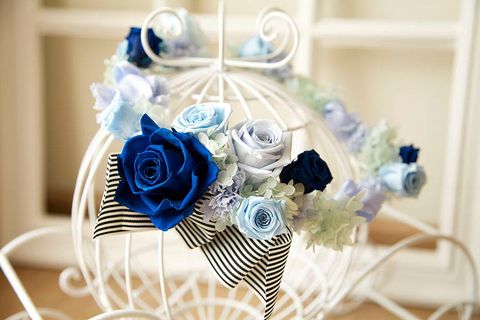 Ý NGHĨA KÌ DIỆU CỦA HOA HỒNG XANH