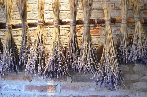 MUA SỈ HOA KHÔ OẢI HƯƠNG – LAVENDER PHÁP GIÁ RẺ, UY TÍN NHẤT TẠI TPHCM