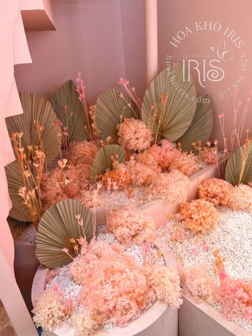 Trang trí showroom Sociolla