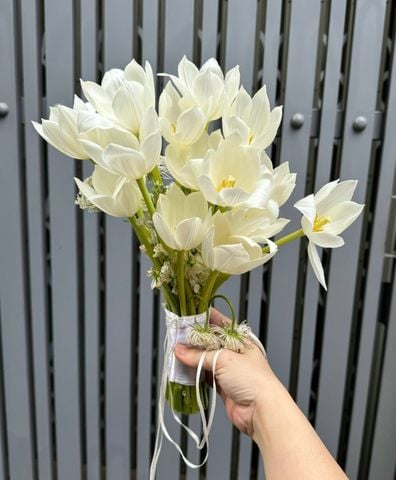 Sấy khô bó Hoa cưới Tulip trắng
