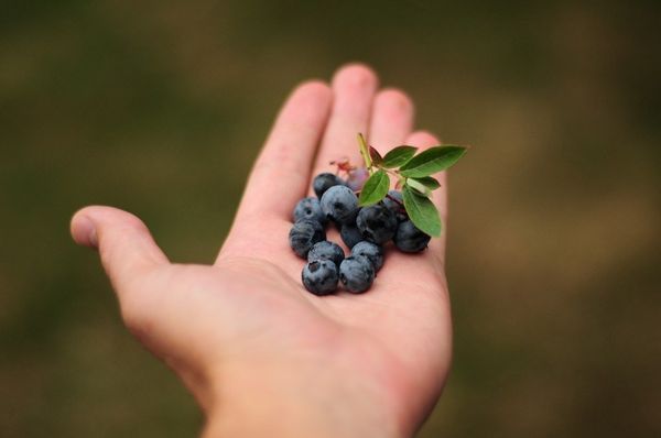 Viên uống Dear Natura chiết xuất Blueberry Nhật Bản 