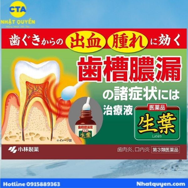 Dung dịch trị viêm chân răng Shoyo Kobayashi