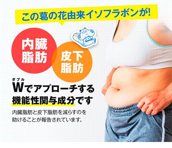 Viên uống giảm cân tan mỡ Onaka Nhật Bản