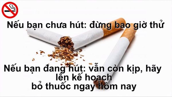 kẹo cai thuốc lá 禁煙のど飴