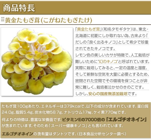 TPCN Chiết xuất nấm Tamogi BIO GOD Nhật Bản dạng bột