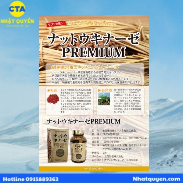 Nattokinase Premium Nichiei Bussan 10.000FU