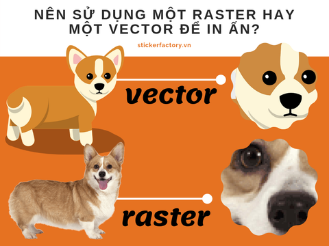 Nên sử dụng một RASTER hay một VECTOR để in ấn?