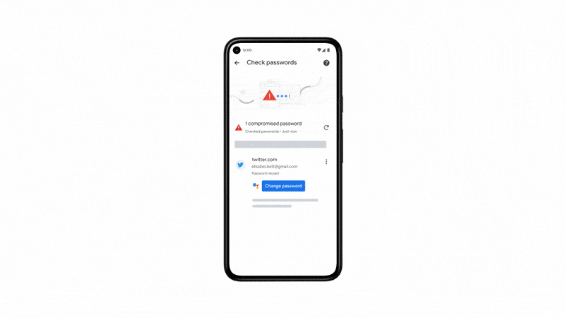 Google Chrome Tự Động Thay Đổi Mật Khẩu - mucsothi.com.vn