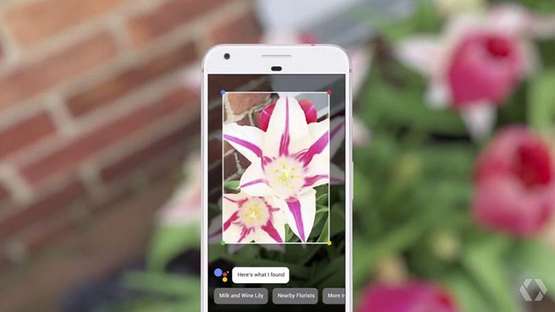 Google Lens là gì? Cách dùng công cụ tìm kiếm ảnh thông minh trên Android