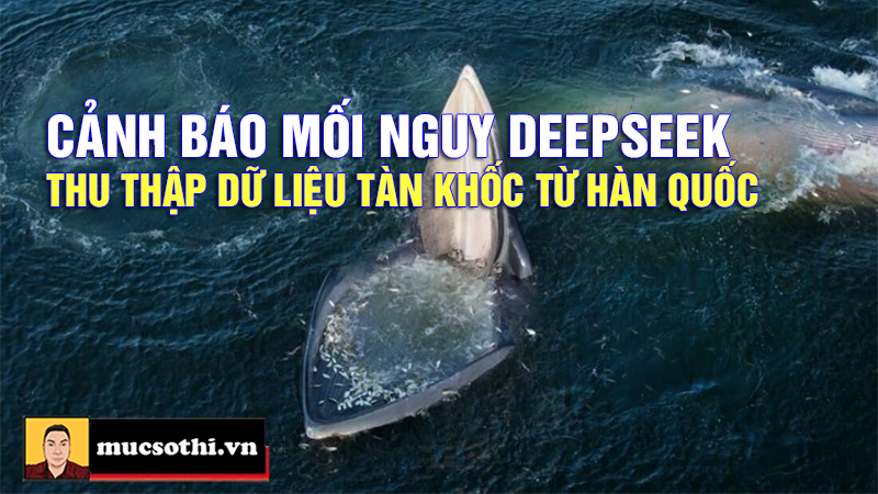 Tình Báo Hàn Quốc Cảnh Báo DeepSeek Thu Thập Dữ Liệu Cá Nhân Quá Mức - mucsothi.com.vn