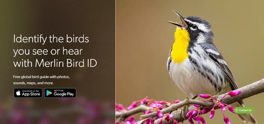 Thoả sức khám phá muôn loài cùng với AI thiên nhiên công nghệ mới để giải toả stress - mucsothi.com.vn