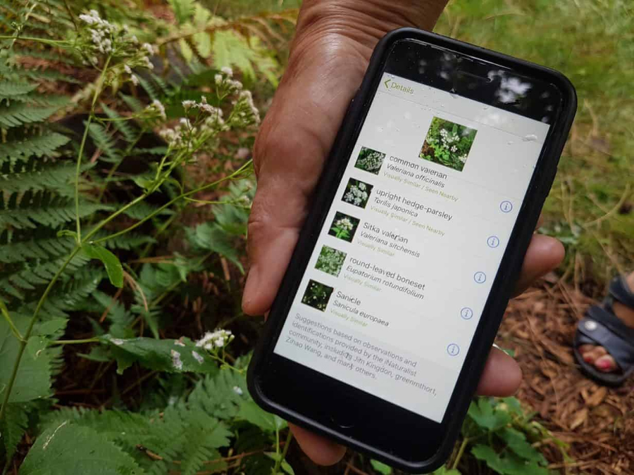 Thoả sức khám phá muôn loài cùng với AI thiên nhiên công nghệ mới để giải toả stress - mucsothi.com.vn