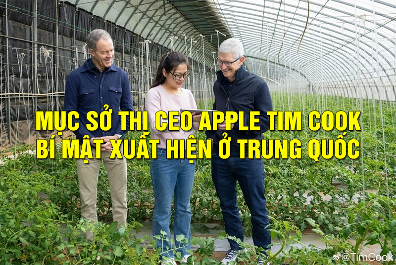 CEO Apple âm thầm đến Trung Quốc lần thứ 2 trong năm - mucsothi.com.vn