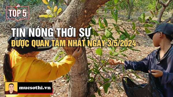 NÊN BIẾT: Top 5 tin THỜI SỰ HOT NHẤT được quan tâm ngày 3/5/2024 - mucsothi.com.vn
