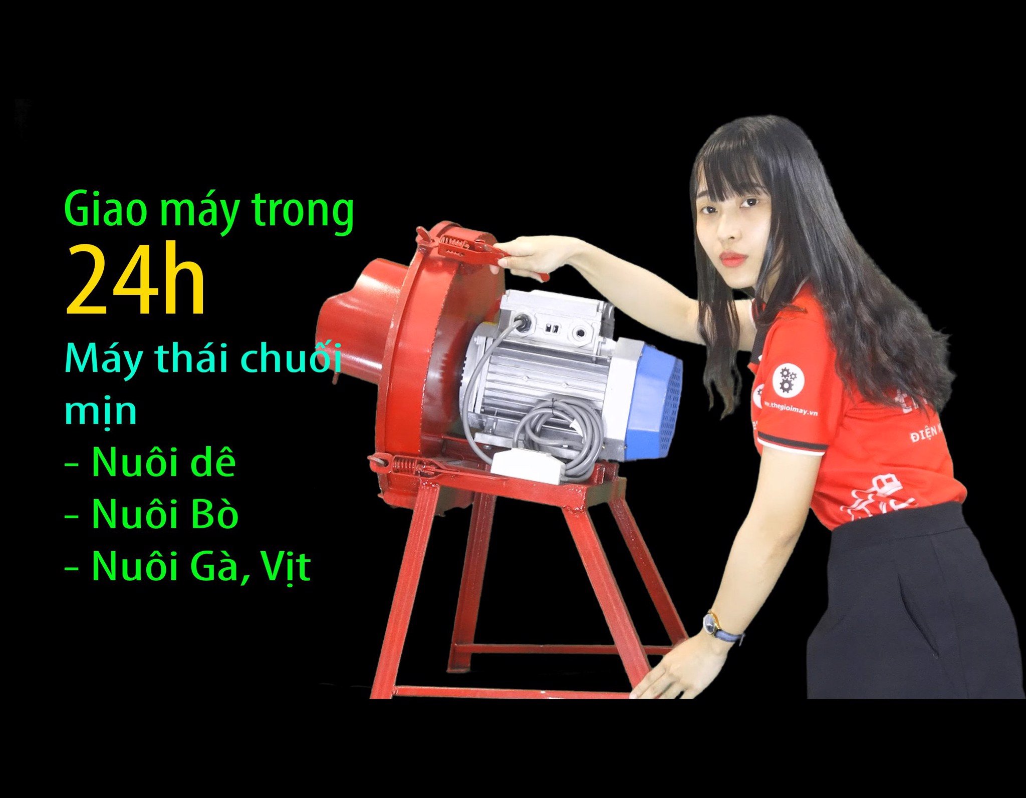 Máy băm thái chuối đa năng Bình Phước l máy băm cây chuối, băm cỏ voi cho dê, bò gà ở Bình Phước