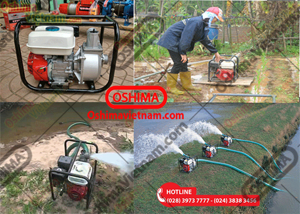 Máy bơm nước OS 50