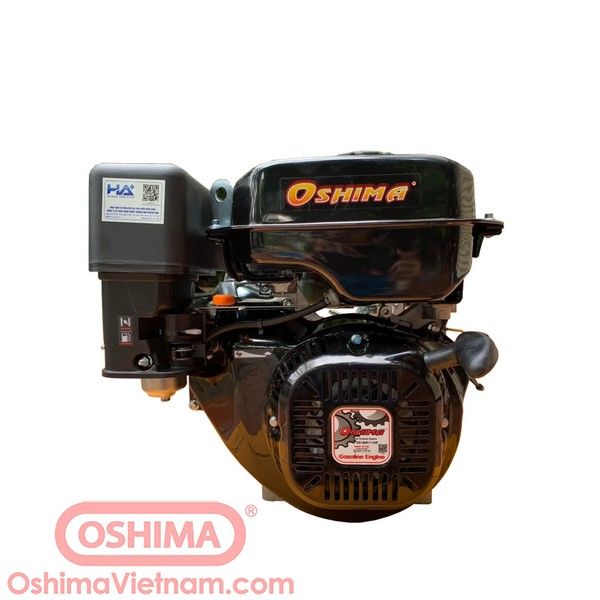 Động cơ xăng Oshima 180F