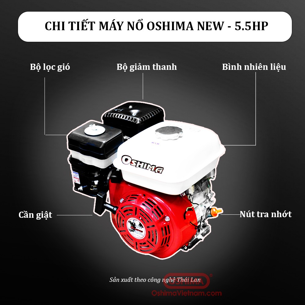 chi-tiet-may-no-oshima-new-5.5hp