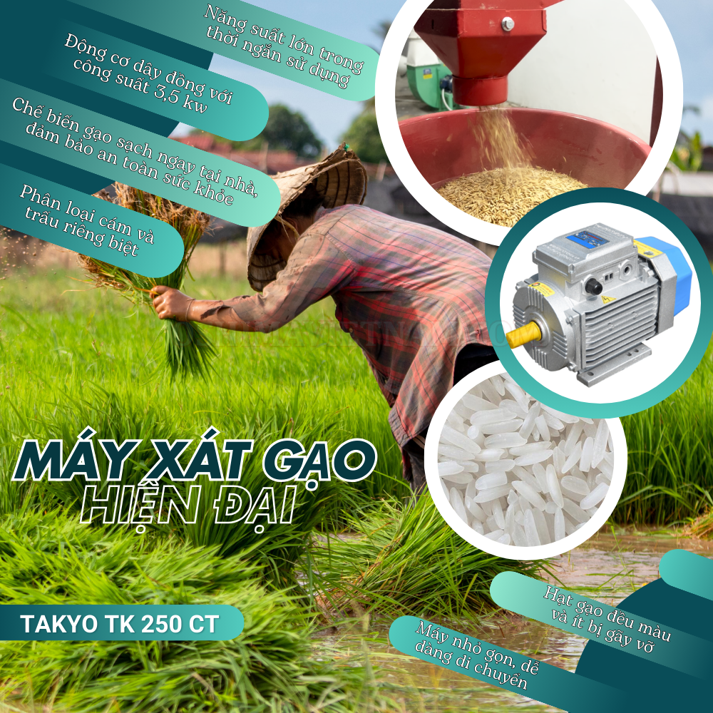 Công dụng của máy xát gạo gia đình Takyo TK 250 CT