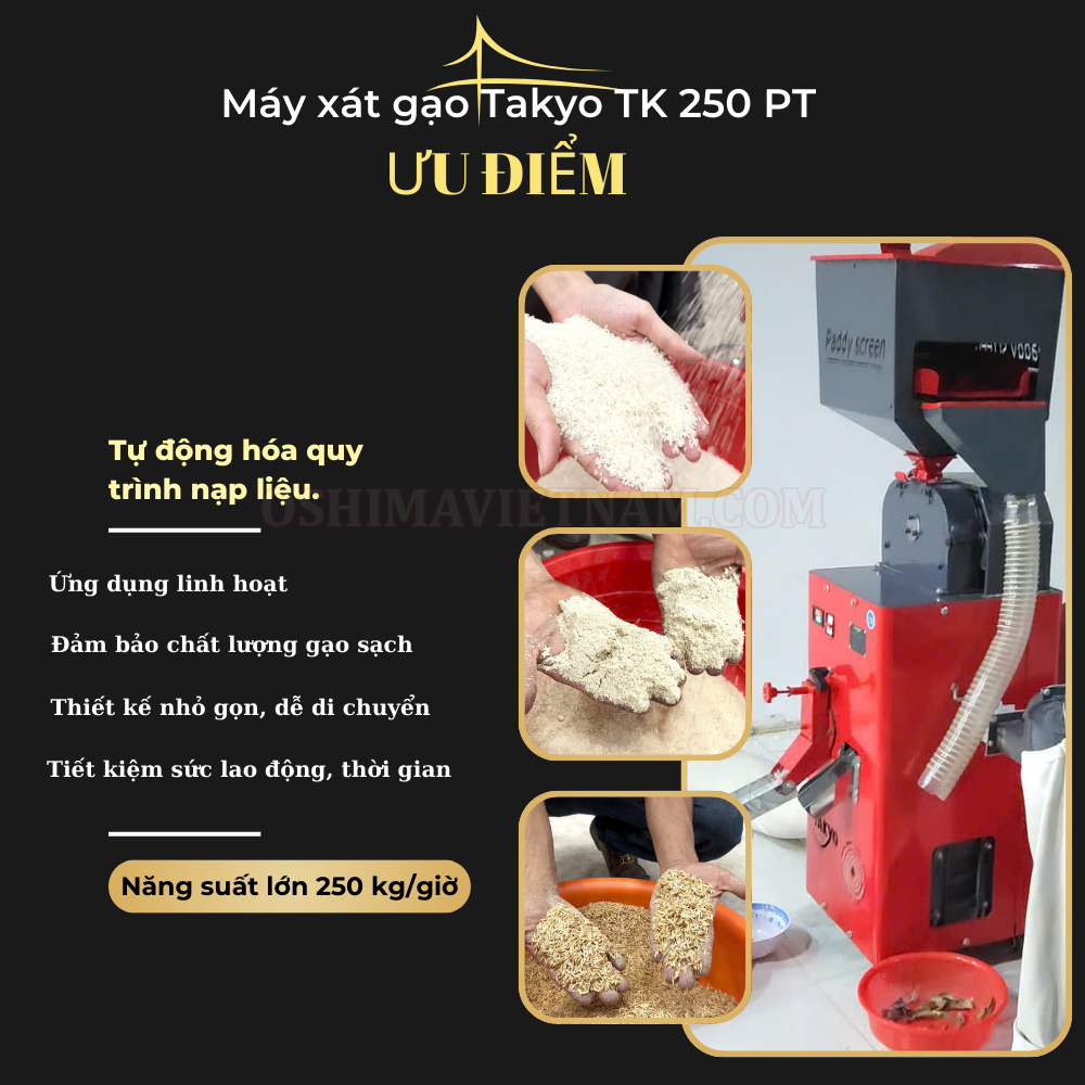 Công dụng tuyệt vời đến từ máy xay xát gạo Takyo TK 250 PT