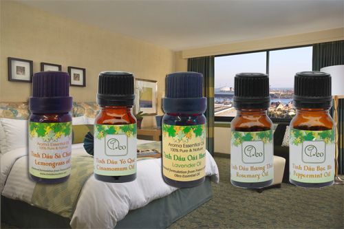 Những tinh dầu thường dùng trong khách sạn