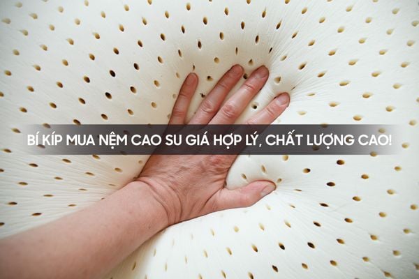 BÍ KÍP MUA NỆM CAO SU GIÁ HỢP LÝ, CHẤT LƯỢNG CAO!