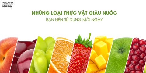 NHỮNG LOẠI THỰC VẬT GIÀU NƯỚC, BẠN NÊN SỬ DỤNG MỖI NGÀY