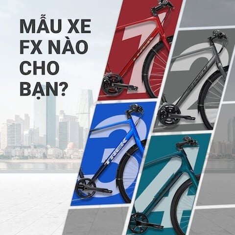 MẪU XE FX NÀO CHO BẠN?