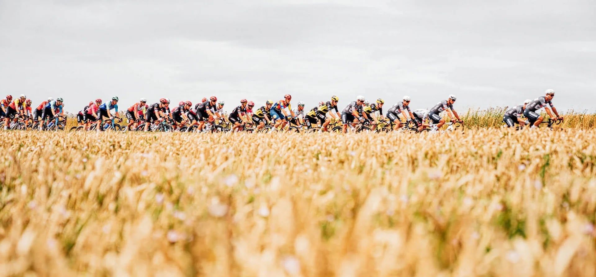 Bảng tổng hợp Tour de France 2025