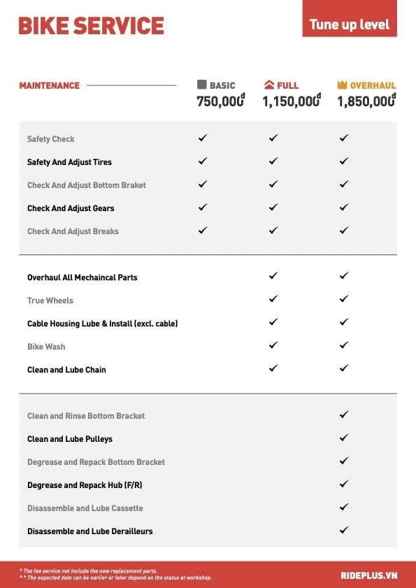 Bike Service - Tune Up