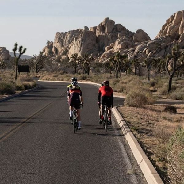 Comp Racer Sock – Cổ thấp 3 inch